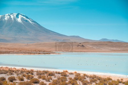 Lago apestoso en Bolivia, cerca de Uyuni salar plano de sal de Uyuni con mucho flamenco. Foto de alta calidad de paisaje con montaña y detrás está Laguna Chiar Khota o Laguna Negra.