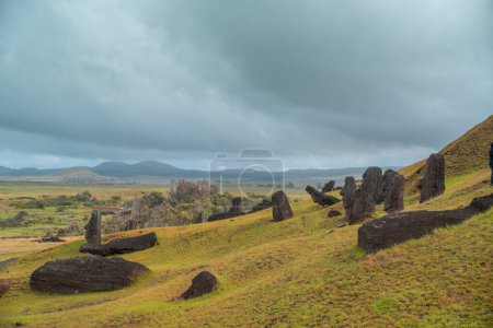 Moai usine sur l'île de Pâques ou Rapa Nui : l'endroit où ils ont sculpté les sculptures Moai. Très vert.
