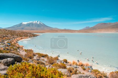 Lago apestoso en Bolivia, cerca de Uyuni salar plano de sal de Uyuni con mucho flamenco. Foto de alta calidad de paisaje con montaña y detrás está Laguna Chiar Khota o Laguna Negra.
