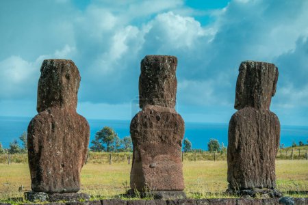Easter Island statues or Moai showing their backs. Also known as Rapa Nui in Chile. High quality photo