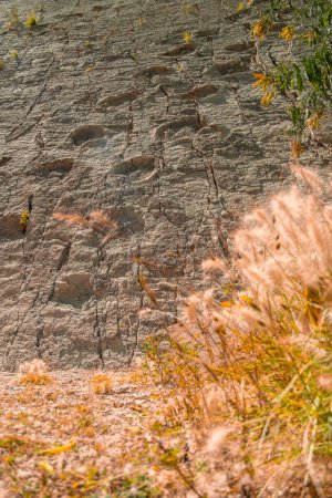 Cal Orcko cerca de Sucre en Bolivia: muro lleno de huellas de dinosaurios. Foto de alta calidad
