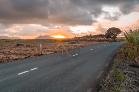 Road in Mauritius during a sunset. High quality photo
