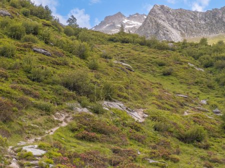 Crepusculo Randonnee en el Vallee de Chaviere en el parque nacional de Vanoise en Francia. Foto de alta calidad