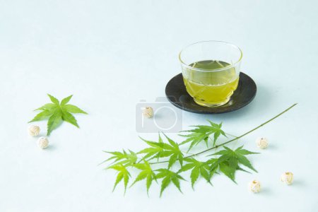 Grüner Tee und Ahornblatt und Mizuhiki auf weißem Hintergrund