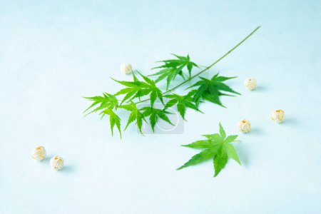 Ahornblatt und Mizuhiki auf weißem Hintergrund