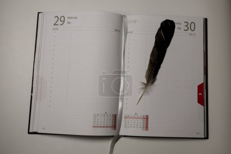 Vogelfeder auf einem Notizbuch-Tagebuch. Weißer Hintergrund. Hochwertiges Foto
