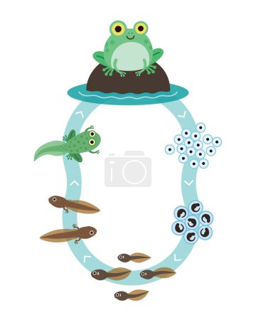 Illustration for Frog Metamorphosis Education Illustration - Royalty Free Image