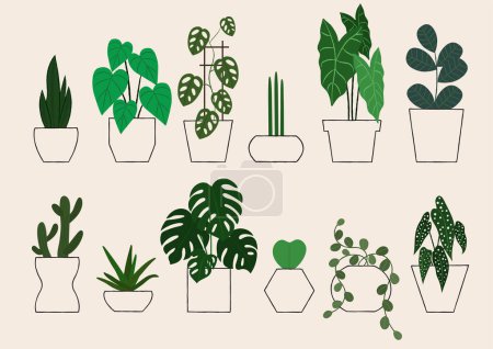 Indoor Plants Icon Set