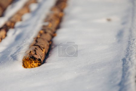 Closeup of a log of wood partially covered in snow in a field in Norway