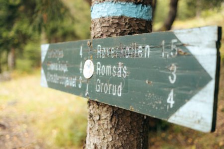 Une pancarte en bois accrochée à un arbre dans une forêt norvégienne, avec des directions vers différents chemins de randonnée à différents endroits. Oslomarka, Norvège.