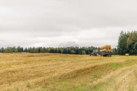 A tractor with a trailer loaded with hay bales standing on a field under grey skies, with forest in the background