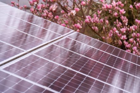 Close-up View of Solar Panels with Blooming Pink Flowers in Background, Highlighting Sustainable Energy Solutions