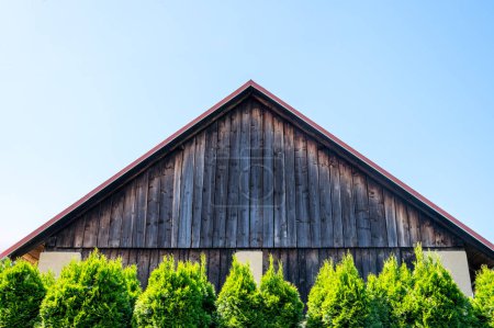 A vivid portrayal of a rustic wooden barn's top facade, accented by weathered wooden planks, under the tranquility of a blue sky, flanked at the base by vibrant green hedges.