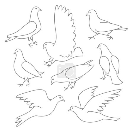 Téléchargez les photos : Set of linear pigeons. Collection of thin line doves. Editable shapes. Vector illustration - en image libre de droit