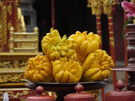 Photo for Vietnam, Hoa Lu, Dinh Emperor's Grave, Buddha's Hand, citrus medica sarcodactylis, or the fingered citron, is an unusually shaped citron variety whose fruit is segmented into finger-like sections, resembling a human hand - Royalty Free Image