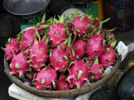 Téléchargez les photos : Vietnam, Province de Quang Nam, Ville de Hoi An, Vieille ville inscrite au patrimoine mondial par l'Unesco, le marché, le décrochage avec Pitaya blanca ou pitaya à chair blanche - en image libre de droit