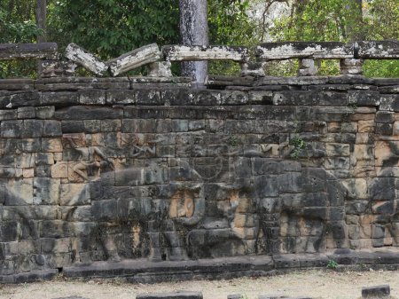 Foto de Bajorrelieve de elefantes, provincia de Siem Reap, complejo de templos de Angkor Patrimonio de la Humanidad por la Unesco en 1192, Camboya - Imagen libre de derechos