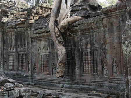 Foto de Templo Preah Khan, provincia de Siem Reap, complejo de templos de Angkor Patrimonio de la Humanidad por la Unesco en 1192, construido en 1191 por el rey Jayavarman VII, Camboya - Imagen libre de derechos