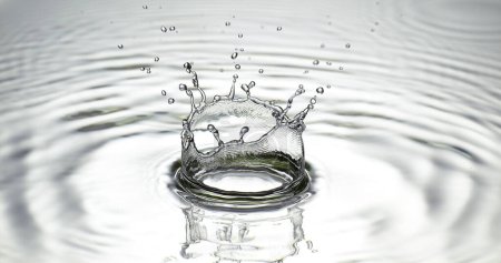 Téléchargez les photos : Goutte d'eau tombant dans l'eau sur fond gris - en image libre de droit