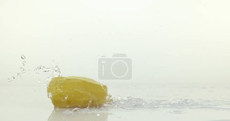 Téléchargez les photos : Charlotte Pomme de terre, solanum tuberosum, Légumes tombant sur l'eau sur fond blanc - en image libre de droit