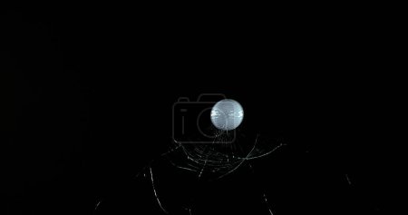 Téléchargez les photos : Volet de rupture de balle de golf de verre sur fond noir - en image libre de droit