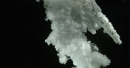 Foto de Tinta blanca ingresando al agua contra fondo negro - Imagen libre de derechos