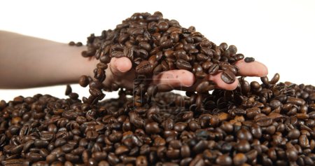 Téléchargez les photos : Graines de café tombant sur fond blanc - en image libre de droit