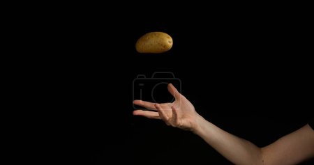 Photo for Hand of Woman Throwing a Potatoe against Black Background, - Royalty Free Image
