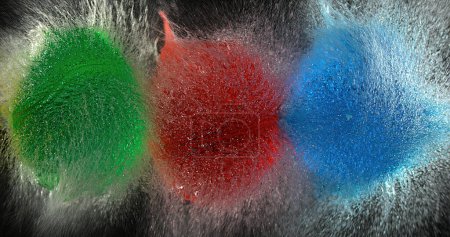 Photo for Shot Breaking Water Filled Red Green and Blue Balloons - Royalty Free Image