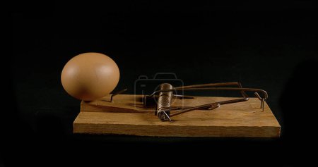 Photo for Mousetrap Breaking a Chicken Egg against Black Background - Royalty Free Image