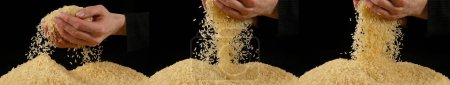 Photo for Hand of Woman and rice against Black Background - Royalty Free Image