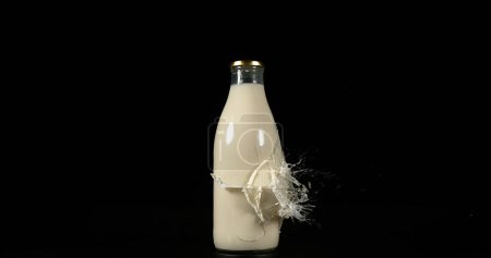 Photo for Bottle of Milk Exploding against Black Background - Royalty Free Image
