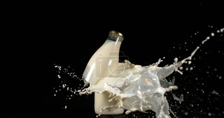 Téléchargez les photos : Bouteille de lait explosant sur fond noir - en image libre de droit