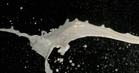 Téléchargez les photos : Explosion de lait sur fond noir - en image libre de droit