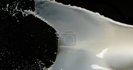 Photo for Exploding Milk against Black Background - Royalty Free Image