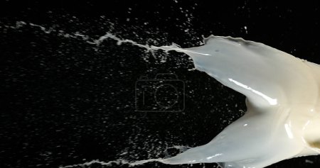 Photo for Exploding Milk against Black Background - Royalty Free Image