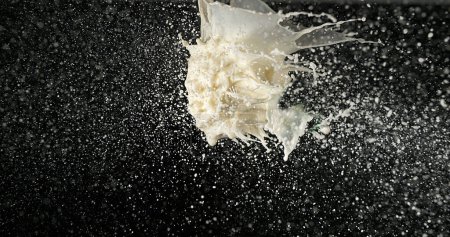 Téléchargez les photos : Explosion de lait sur fond noir - en image libre de droit