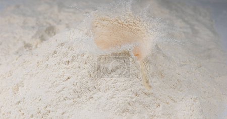 Photo for Egg Falling into Flour against White Background, - Royalty Free Image