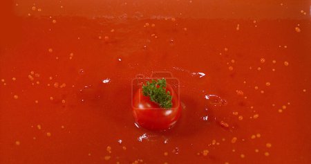 Téléchargez les photos : Tomate cerise, solanum lycopersicum, Fruits tombant dans le jus de tomate - en image libre de droit