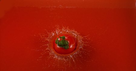 Téléchargez les photos : Tomate cerise, solanum lycopersicum, Fruits tombant dans le jus de tomate - en image libre de droit