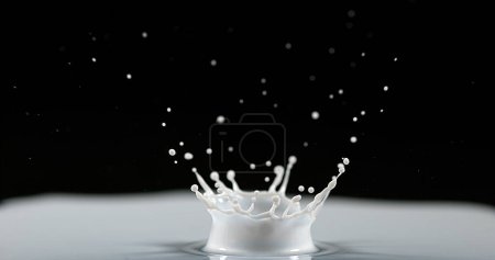 Téléchargez les photos : Goutte de lait tombant sur fond noir - en image libre de droit