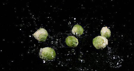 Téléchargez les photos : Choux de Bruxelles, Brassica oleracea, Légumes tombant dans l'eau sur fond noir - en image libre de droit