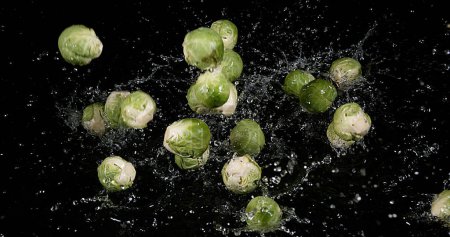 Foto de Bruselas Brotes, brassica oleracea, Verduras cayendo en el agua contra el fondo negro - Imagen libre de derechos