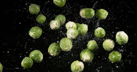 Photo for Brussels Sprouts, brassica oleracea, Vegetable falling into Water against Black Background - Royalty Free Image