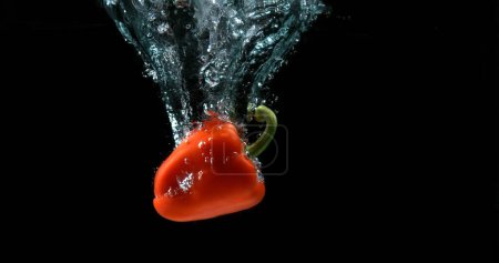 Photo for Red Sweet Pepper, capsicum annuum, Vegetable falling into Water against Black Background - Royalty Free Image