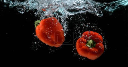Foto de Pimienta dulce roja, capsicum annuum, vegetal que cae en el agua contra el fondo negro - Imagen libre de derechos