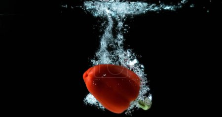 Téléchargez les photos : Poivron rouge, capsicum annuum, Légumes tombant dans l'eau sur fond noir - en image libre de droit
