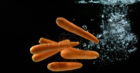 Foto de Zanahorias, daucus carota, Verduras que entran al agua contra el fondo negro - Imagen libre de derechos