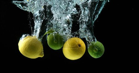 Téléchargez les photos : Agrumes jaunes et verts, citrus limonum, Citrus aurantifolia, Fruits tombant dans l'eau sur fond noir - en image libre de droit