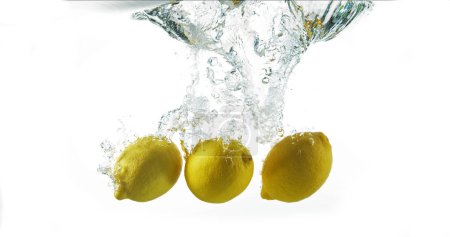 Photo for Yellow Lemons, citrus limonum, Fruits falling into Water against White Background - Royalty Free Image